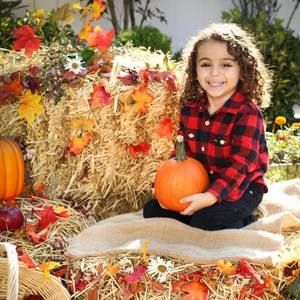 Meet your Posher, Haifa